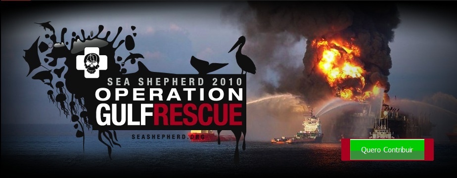 Instituto Sea Shepherd Brasil está em Cuba com a Operação Águas Negras