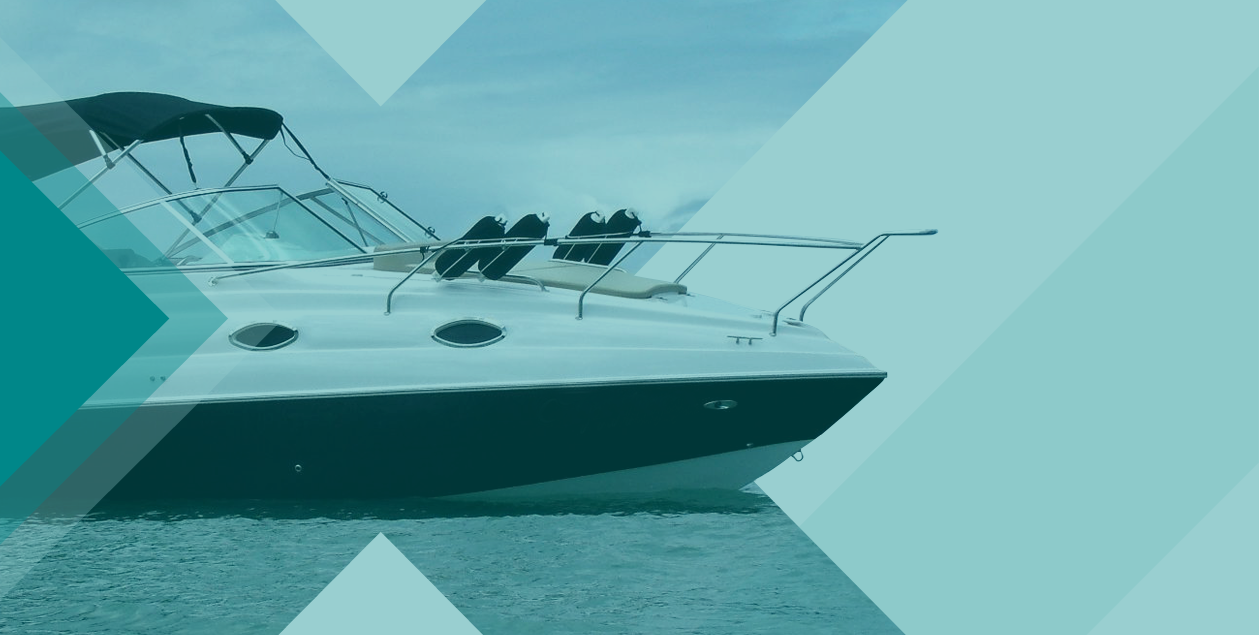 Raio-X Triton 295