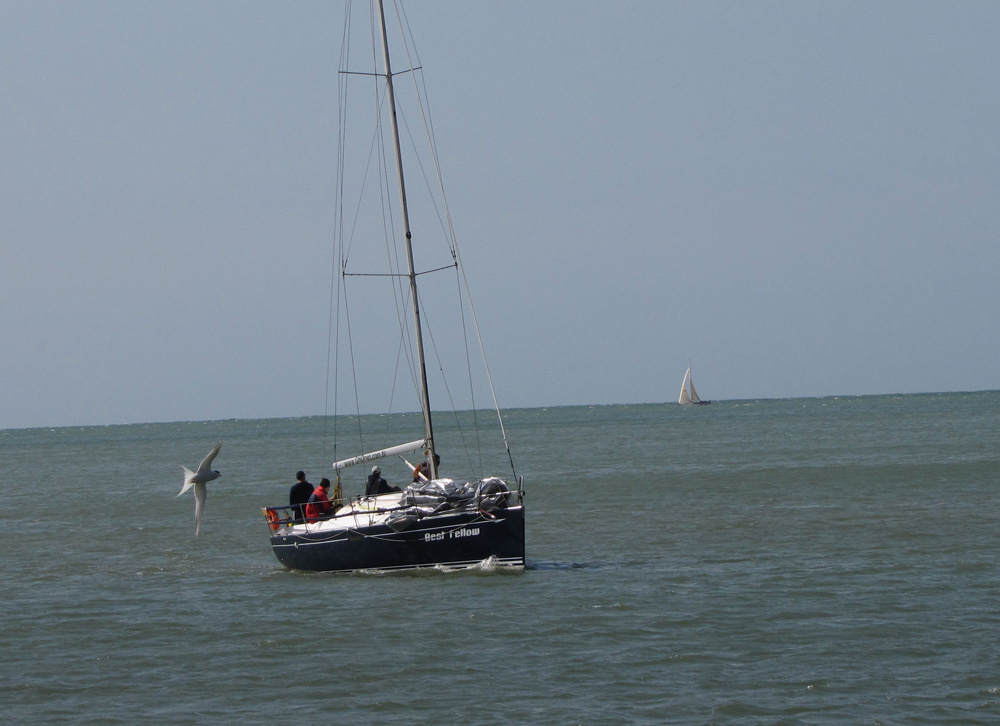 Regata Balneário Camboriú terá largada amanhã em Florianópolis